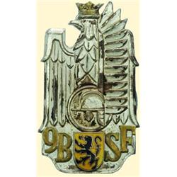 POLAND, MEDAL, 9TH FLANDERS RIFLE BATTALION