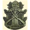 Image 1 : POLAND, MEDAL, CARPATHIAN RIFLE BRIGADE (SANOK VOLUNTEERS RIFLE BATTALION 1922)