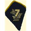 Image 1 : POLAND, MEDAL, 7TH INFANTRY REGIMENT (?)