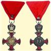 Image 1 : MEDALS AUSTRIA                    SILVER CROSS OF