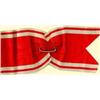 Image 1 : MEDALS RUSSIA                           Sash for 