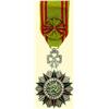 Image 1 : MEDALS TUNISIA                           Officer'