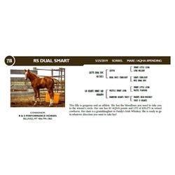 RS DUAL SMART