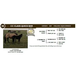 CC CLASS QUICK BAR