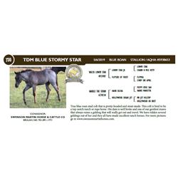 TDM BLUE STORMY STAR
