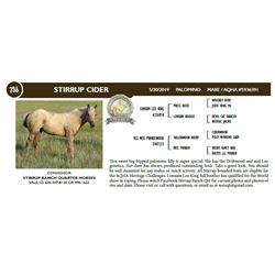 STIRRUP CIDER