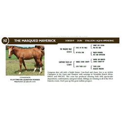 THE MASQUED MAVERICK