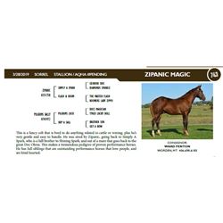 ZIPANIC MAGIC