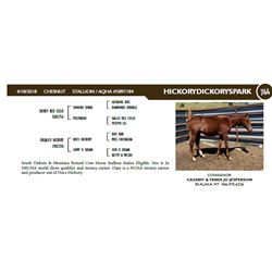 HICKORYDICKORYSPARK