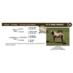 CC A SARE MIRAGE