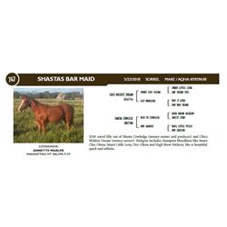 SHASTAS BAR MAID