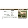 Image 1 : RD IRISH CREME