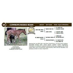 COWBOYS RODEO ROAN
