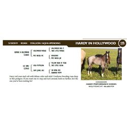 HARDY IN HOLLYWOOD