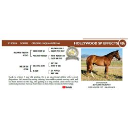 HOLLYWOOD SP EFFECTS