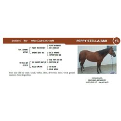 PEPPY STELLA BAR