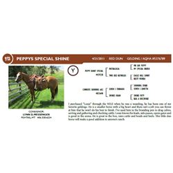PEPPYS SPECIAL SHINE