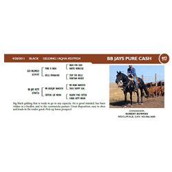 BB JAYS PURE CASH