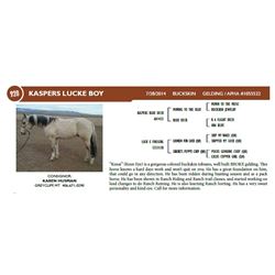 KASPERS LUCKE BOY