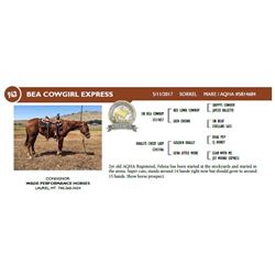 BEA COWGIRL EXPRESS