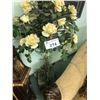 Image 1 : EVERGREEN ROSE TREE