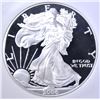 Image 2 : 2006-W 20th ANNIV. SILVER EAGLE NGC PF-69 U.C.