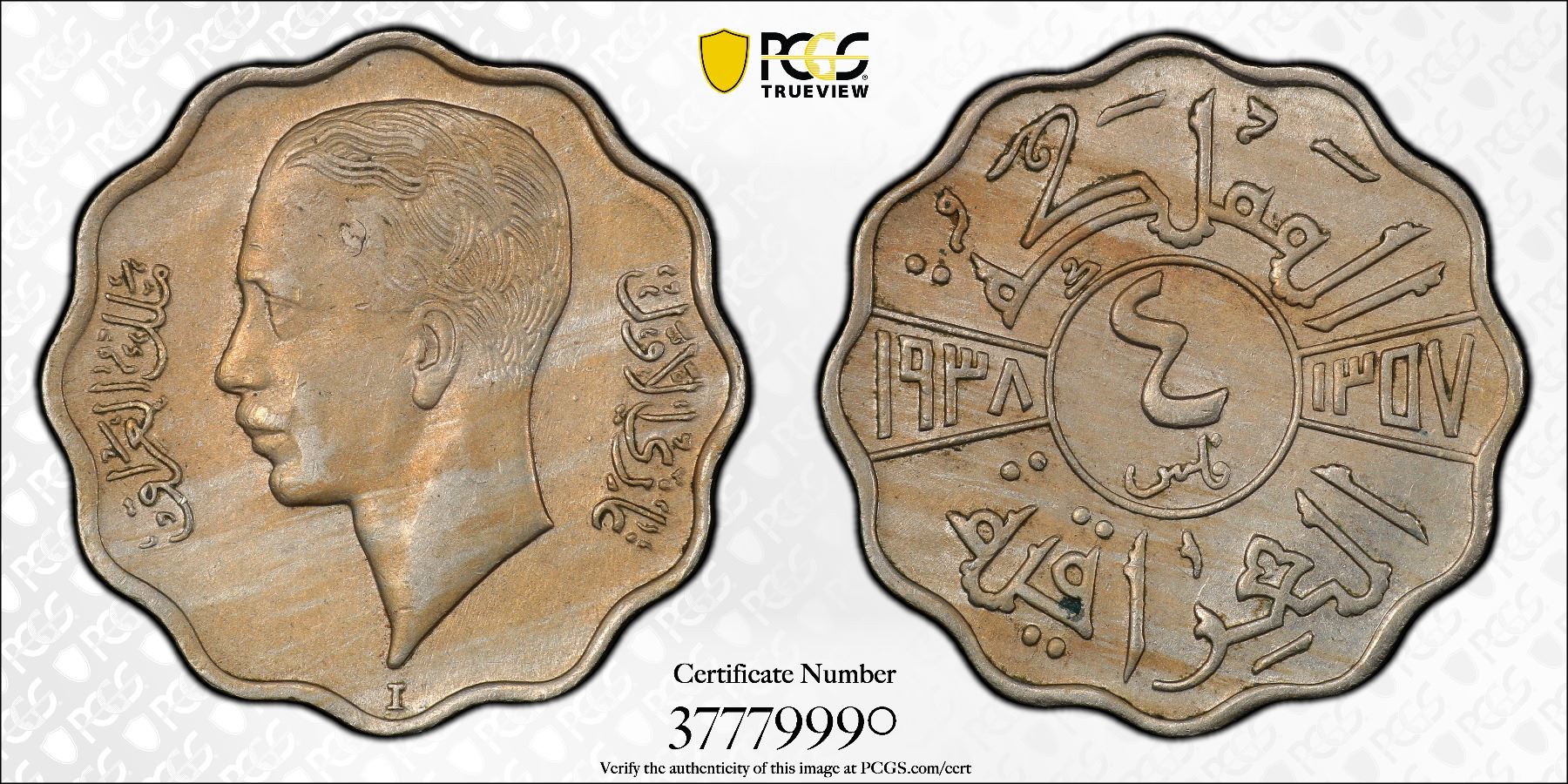 Coin of the Month | University of Tübingen