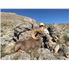 Image 3 : La Palmosa Desert Bighorn Hunt