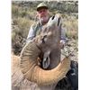 Image 8 : La Palmosa Desert Bighorn Hunt