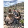 Image 9 : La Palmosa Desert Bighorn Hunt