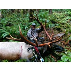 Washington Roosevelt Elk Hunt