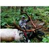 Image 1 : Washington Roosevelt Elk Hunt