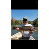 Image 1 : 2 day Fly Fishing Trip for 2 people on the Sacramento River.