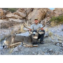 This is a very special opportunity to hunt Mule Deer in Nevada Hunt Unit 231