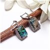 Image 1 : ABALONE SHELL GEMSTONE SILVER PLATED LEVER BACK EARRINGS