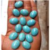 Image 1 : Natural Turquoise 15x20 MM Oval Loose Cabochon Gemstone 25 Pieces Lot