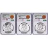 Image 1 : Lot of 1977Mo-1979Mo Mexico 100 Pesos Silver Coins NGC MS64
