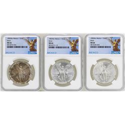 Lot of 1982Mo/1983Mo/1985Mo Mexico Libertad Onza Silver Coins NGC MS66