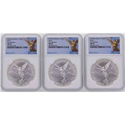 Lot of (3) 2018MO Mexico 1 Oz First Releases Silver Coins NGC MS69
