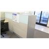 Image 11 : Qty 6 Desks w/ Rolling Chairs, Filing Cabinets & Cubicle Walls (Buyer Needs to Disassemble)