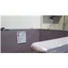 Image 6 : Metal Desk and  Misc. Contents, Cubicle Walls, Etc.