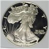 Image 1 : 1987 AMERICAN SILVER EAGLE