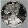 Image 1 : 1991 AMERICAN SILVER EAGLE