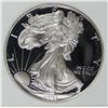 Image 1 : 1993 AMERICAN SILVER EAGLE