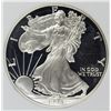 Image 1 : 1998 AMERICAN SILVER EAGLE