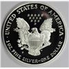 Image 2 : 1998 AMERICAN SILVER EAGLE