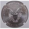 Image 2 : 2019 AMERICAN SILVER EAGLE