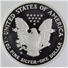 Image 2 : 2007-W AMERICAN SILVER EAGLE