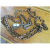 Image 1 : 16 FOOT CHAIN (COMPLETE WITH HOOKS AND PINS) *EXTRA HOOKS*