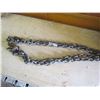 Image 1 : 14 FOOT CHAIN (COMPLETE WITH HOOKS)